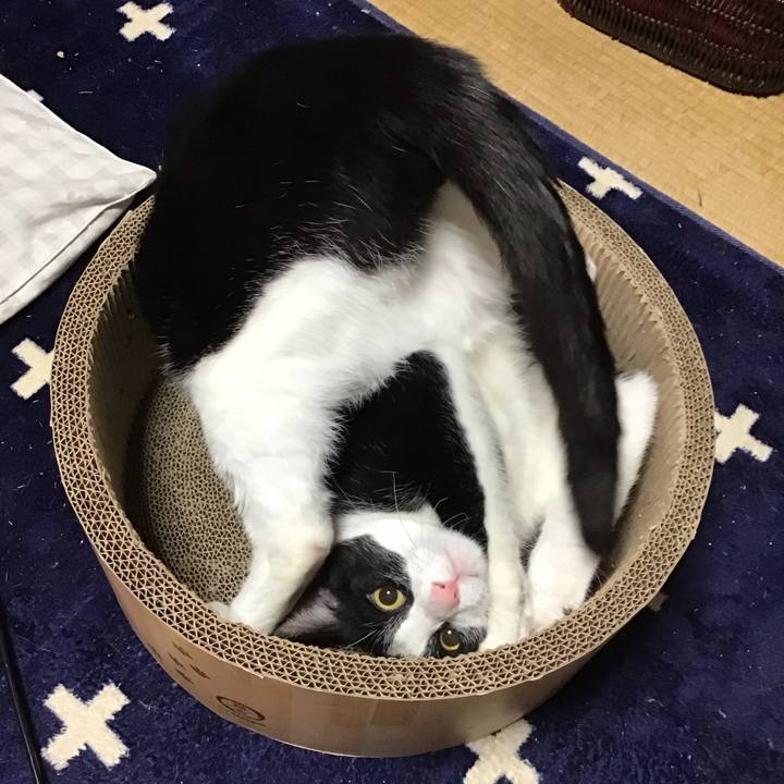 1945b400 aaff 4dec ba53 b0910781ff38 1716106308193