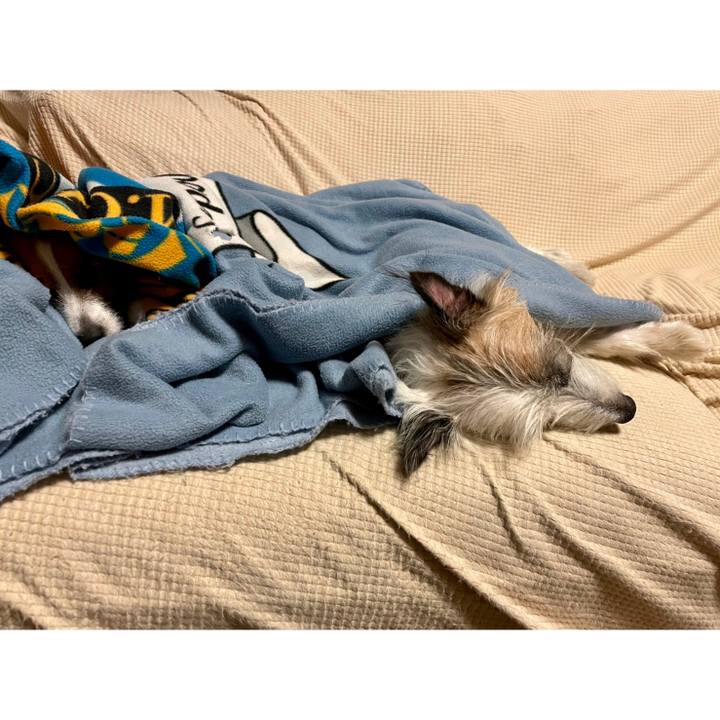 1945b642 40fa 4f82 b86d e27729d4597a 1666703125703