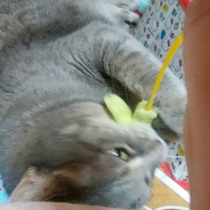 1945ecff 1cc6 447e 898f e242d122a663 1533727260776