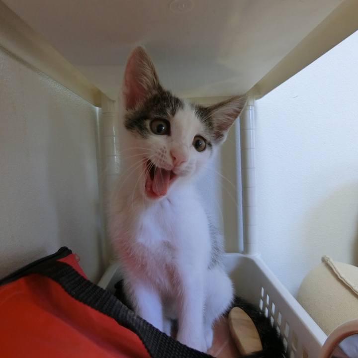 19460d94 871a 45d2 8798 4c9d70741468 1562368032271