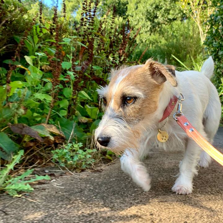 1946137a cefa 44b7 9a20 fcf960ea7296 1629419776732