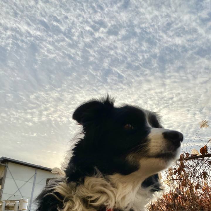 1946268c 8daf 4940 8ac5 9302510bf6fe 1610840528590