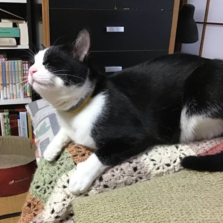 194649c1 9ec4 455b 99d9 9e42ba905b79 1650012942806