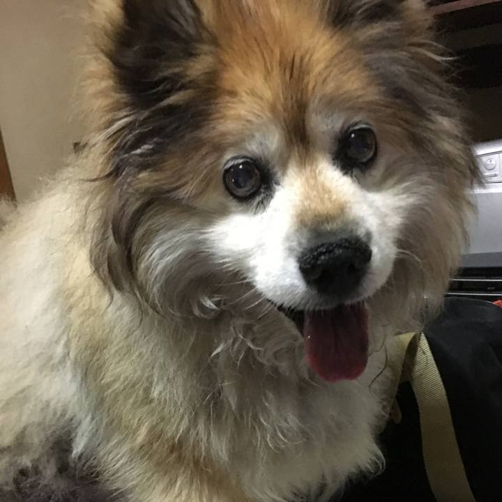 1946b41d 44cc 4cd7 a219 344d070056e0 1617708306595