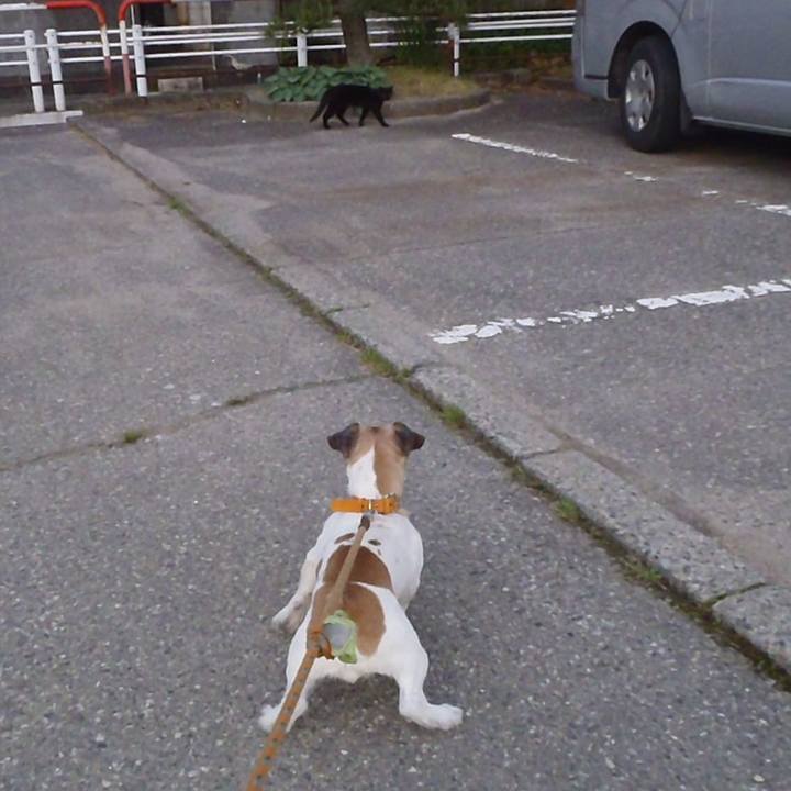 1946c7f7 8e4c 4bbd abd5 73dcd8ea0efa 1532599626563