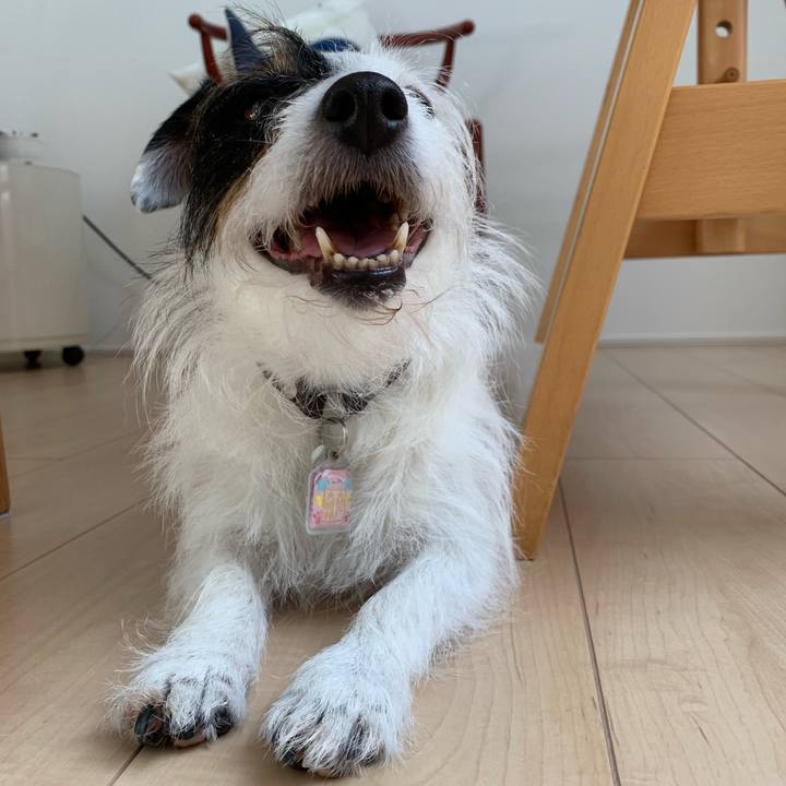 1946f0e4 6b3f 43c3 9efa 8a22aa48cd02 1653635412918