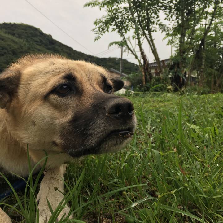 1947056a 3a03 46d6 8245 07e5dcdaf3e4 1508416017762