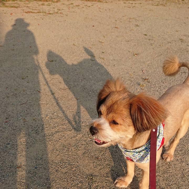 19472838 9f8a 486f 9dc7 3e1be8098c86 1560419232653