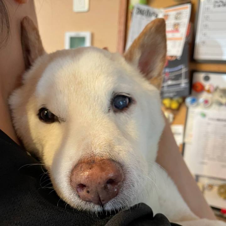 194735d5 a972 4e86 a18f 99f07530f931 1656127085747