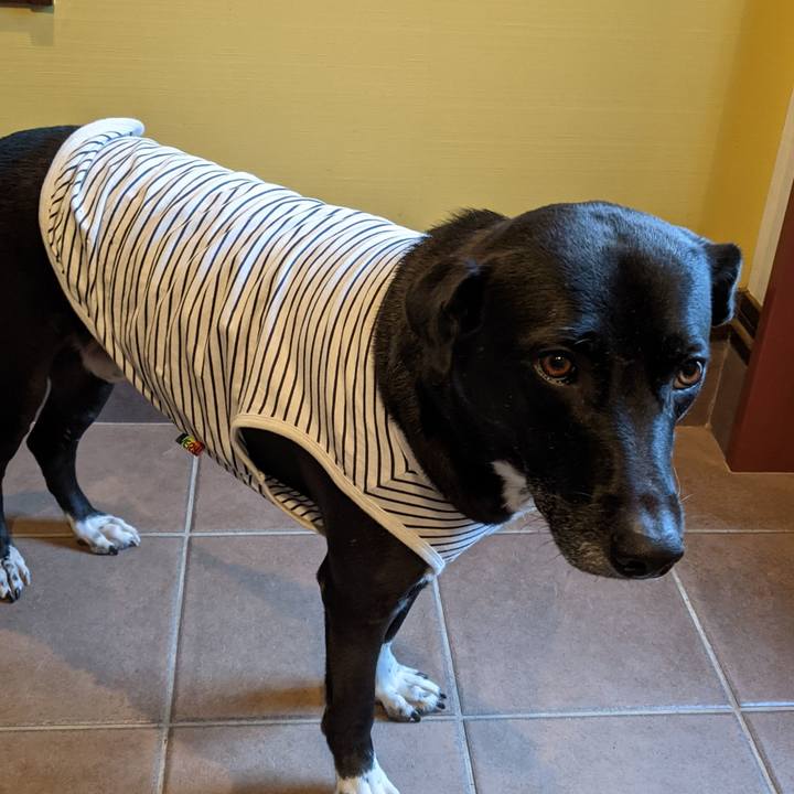 19473aa6 98ea 4185 80f2 02f5585ce6cf 1635591433668