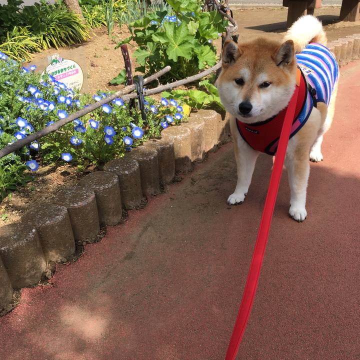 19475540 acf5 48b6 bfe0 72615b0342da 1583984794055