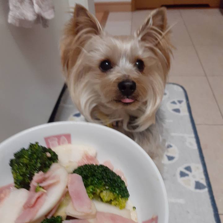 1947581b c2de 4084 b3b8 2917ecaddfb1 1642928007434