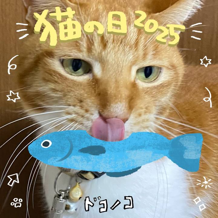 1947ab61 3a5c 488f ae6d 32cbbb100937 1740150594875