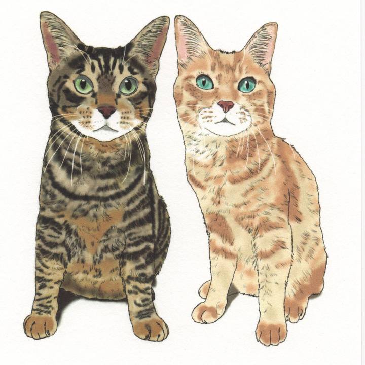 1947d07c e832 47b7 9fea 404ffaa5d1ef 1684233737575