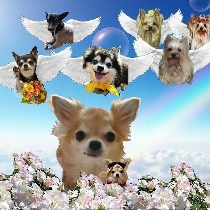 1947e834 ea2f 4713 bb4f 627b6323426f 1702603082078