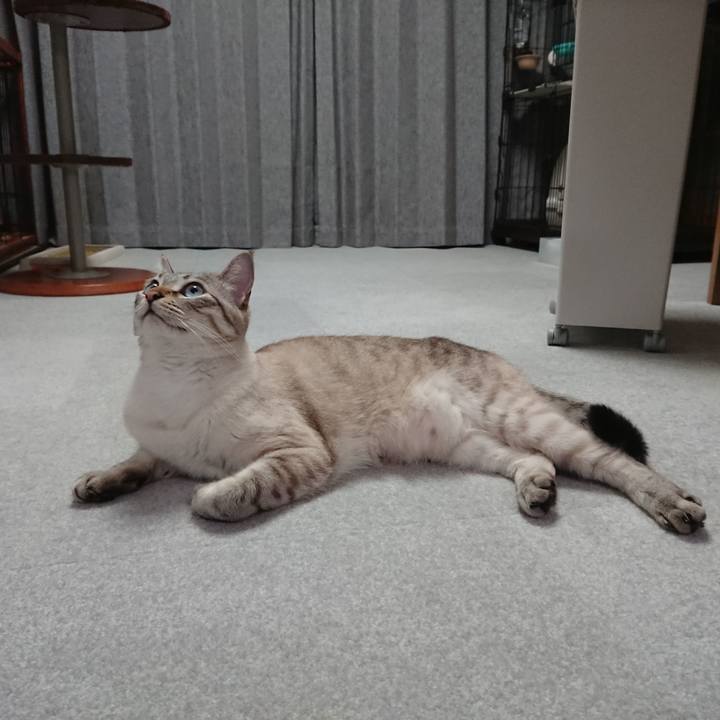 1947f32f e336 4a85 8bbe b7e01f8b88d6 1525443430359