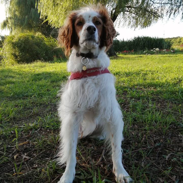 19481ccb 3770 46de 9504 c68107be3abc 1601206596666