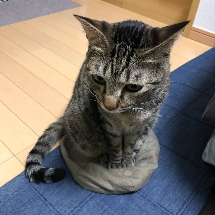 19482a37 32e2 410a 858e c030da6cd6e8 1537706165175