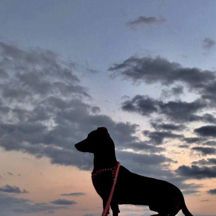 194868be 59d8 4fcb a59c d6eee8e48a3f 1520849529751