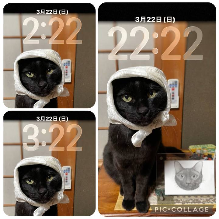 19486ca0 951b 48fa a95b c85794292fa5 1774186614171