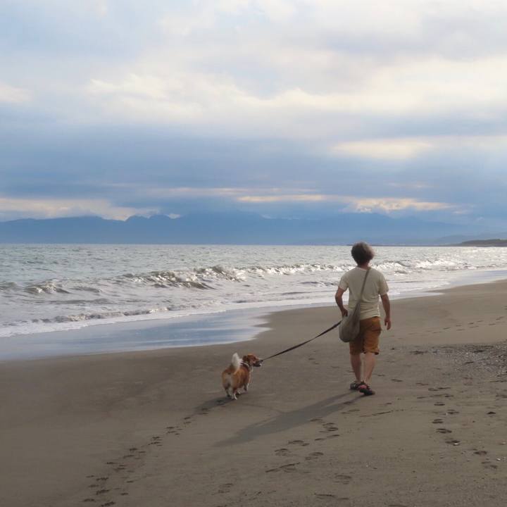 19487ec6 cecd 45c4 9475 7348238b4273 1624189532155