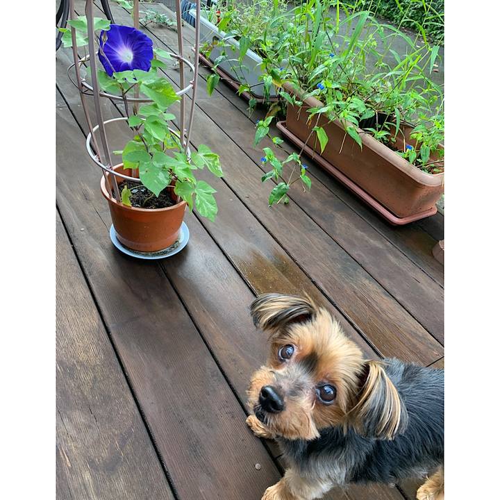 1948ac49 12c6 4549 9abb a849a1605dbb 1626038738556