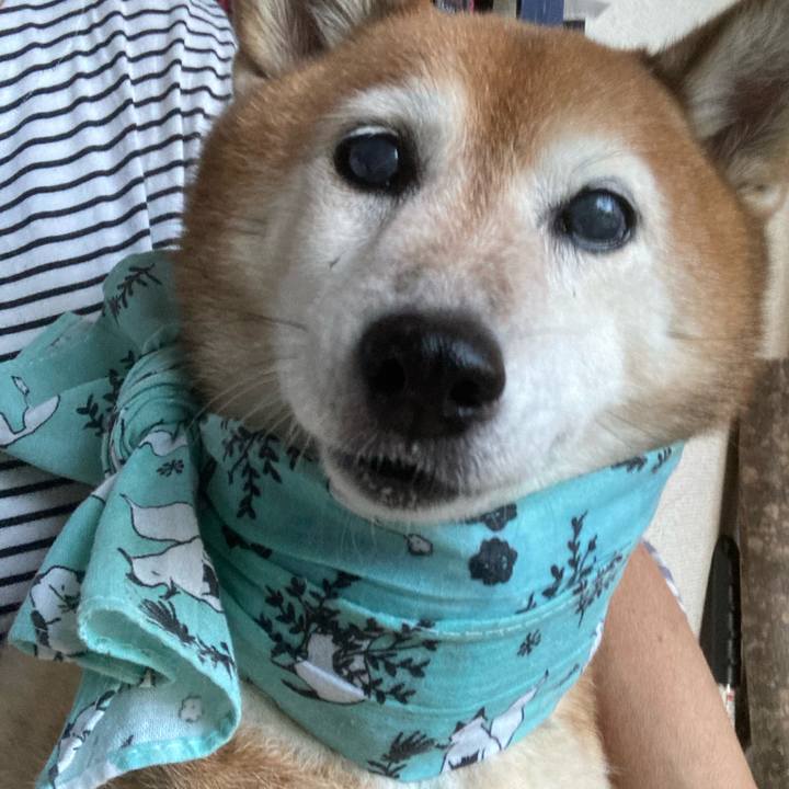 1948bc43 7e13 40a1 9fc0 07613c844838 1725276732945