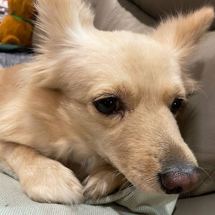 1948ec7e 823e 4fd9 96fd 57640a3c0b9e 1758463604416