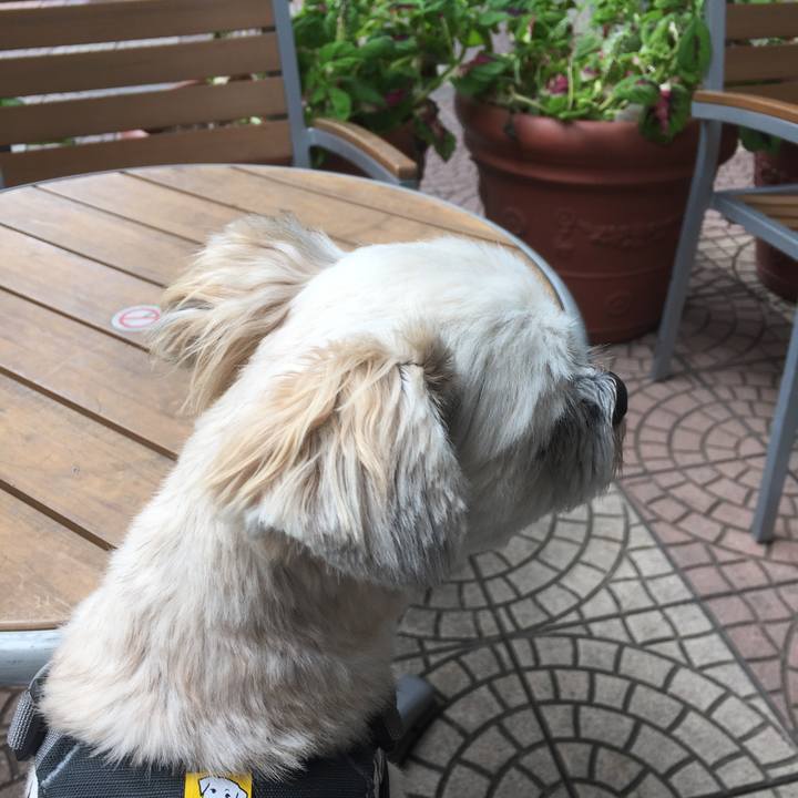 19492d6c 63d4 4e19 bc22 e6af30e7255e 1568435501631