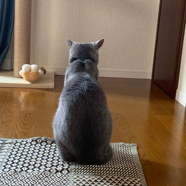 1949c81f cc46 4657 ac3f 2342e25a4f91 1596748247482