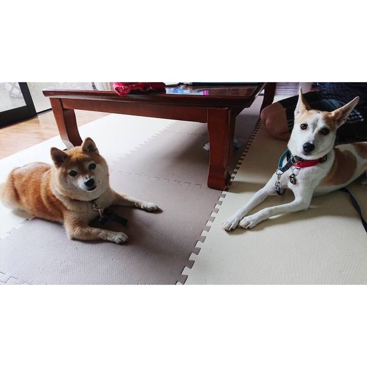 1949e6f7 4ff0 491a 9c03 62ff7bc76b78 1600332980878