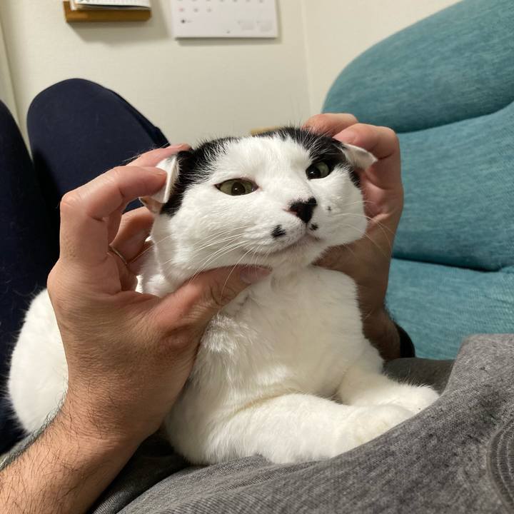 1949ef98 e973 4488 99ac 0948559e82ae 1774190392269