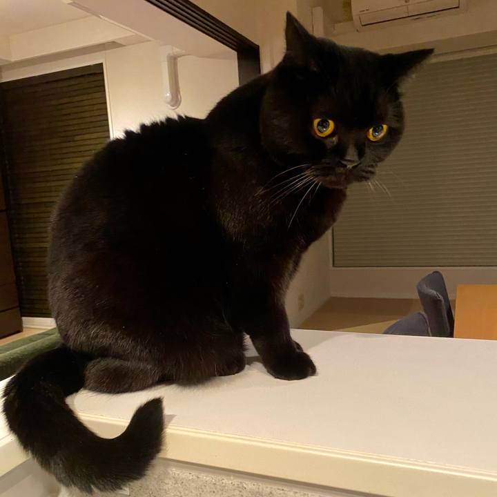 1949f3f0 f132 42ca 953c 7a97ebbf61d4 1604492351193