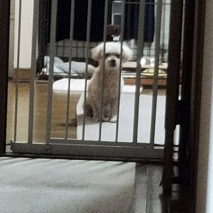 1949fda3 1351 41df 8675 a7074c2c6a05 1749293576478