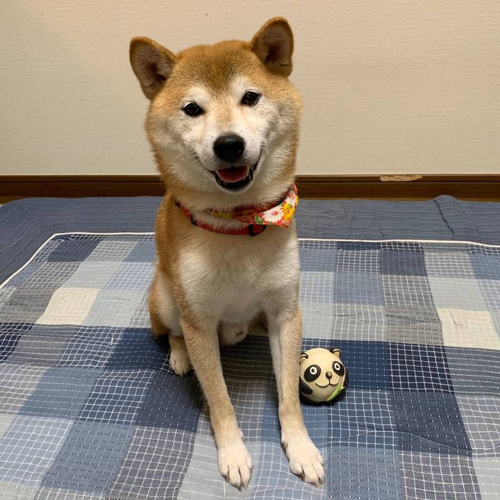 194a1838 858f 4535 9128 c6bd5da70fa7 1599043452767