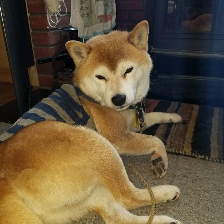 194a1f18 a1ea 4a8e 8ff9 6570393127e9 1612394530262