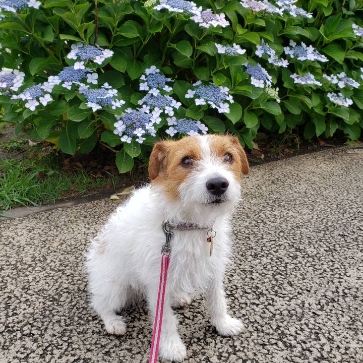 194a22de 3a48 472b a827 ab322f6ed397 1560204612414