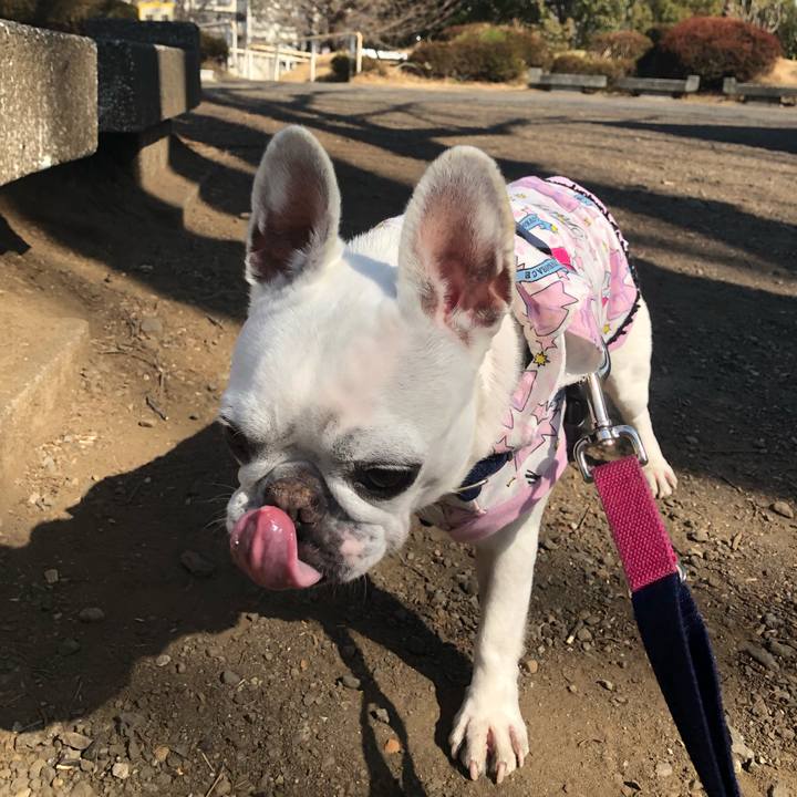 194a3ef6 b51d 42cf a76a 6a12c7b95c46 1614064333495