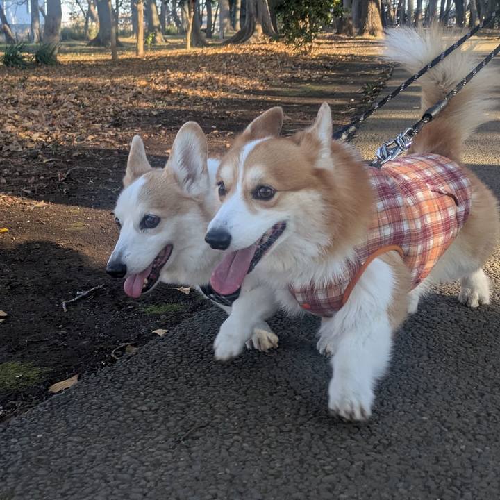 194a4784 6723 4313 b809 4e1fa957ddf7 1766891508243