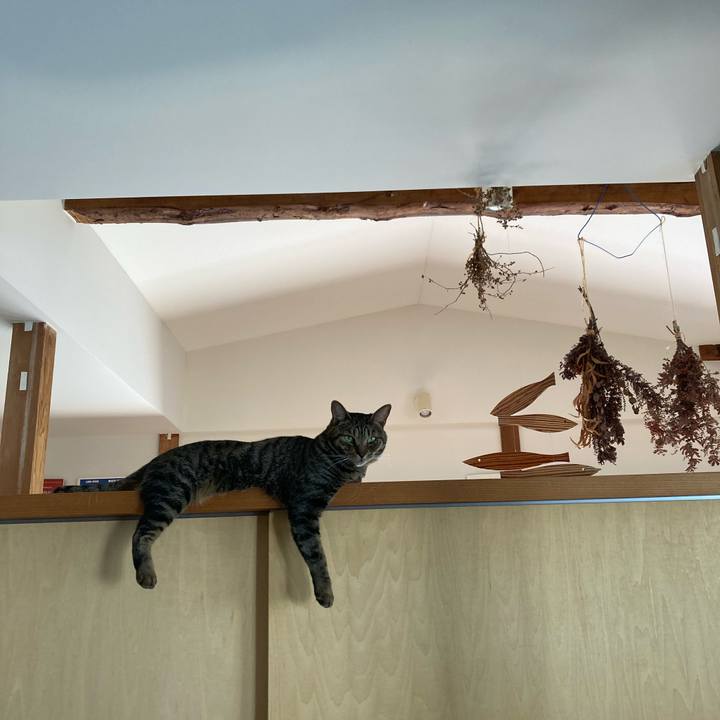 194a4d09 0846 4fef 9211 01305ee74e1f 1756215564001