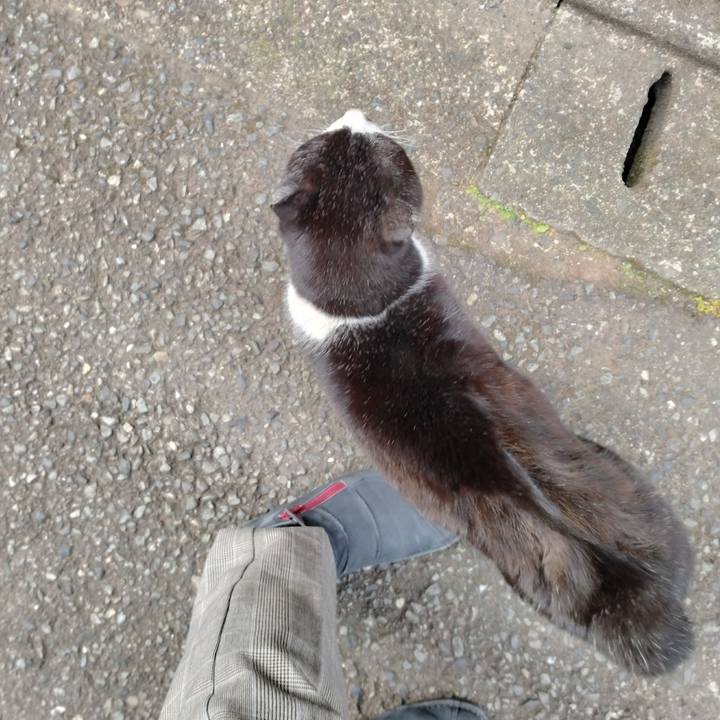 194a52b1 143e 45f1 8c73 d1c92c3854ea 1709164539626