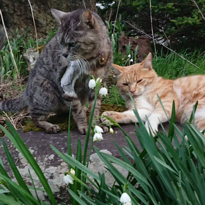 194a5ffc 0959 40d2 9d35 8785d50cb0f0 1588581356901