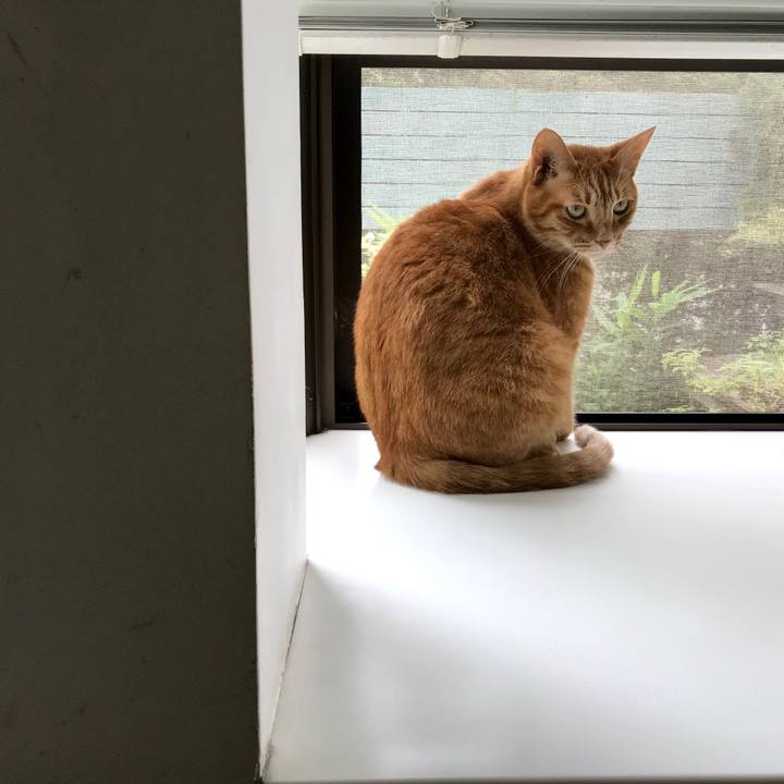 194a655e 8b29 491e ac10 e36df9f0a67c 1529641490489