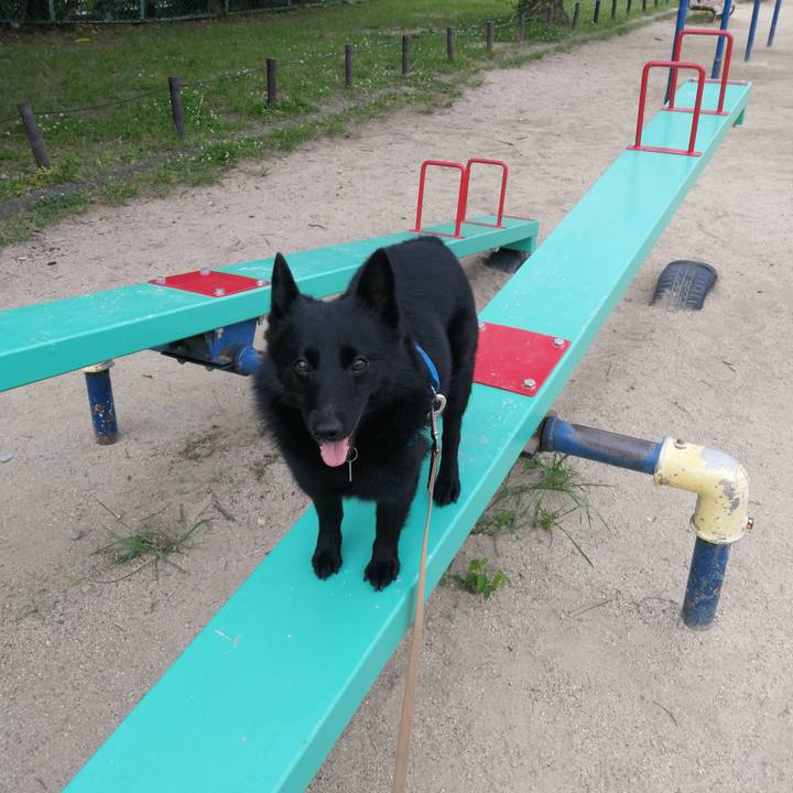 194ab7e9 b9da 42cb b69f 97f9b61b32d3 1624568271079