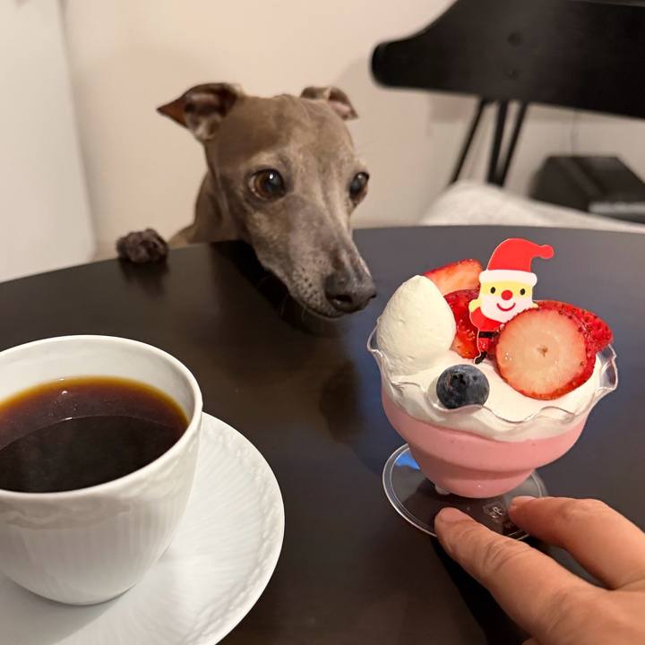 194b0e5e 4074 47ce 9cef 506bbbbcea31 1766648497282