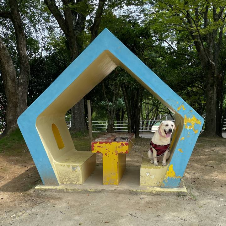 194b16b5 6936 4a3d 8838 81b5fd9449f3 1630996799781