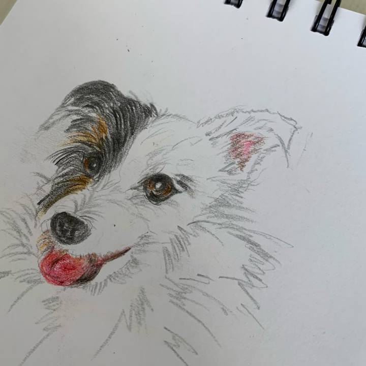 194b3d55 8a45 4593 9034 9f4c49504d5e 1628142700568