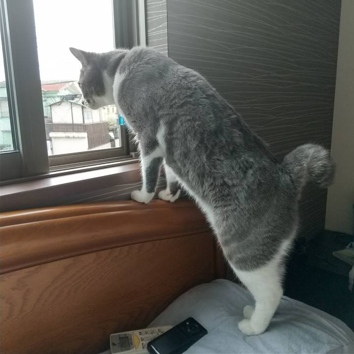 194b48c9 c27c 43c7 b548 2c8604ec2921 1625958588638