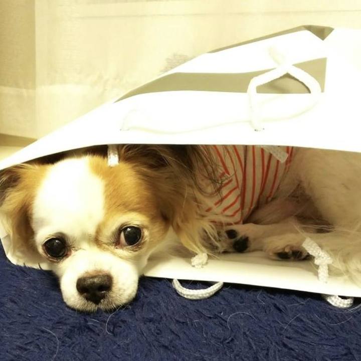 194b5424 4bf9 4bbe 9b81 4adb1f9d2f73 1685665552377