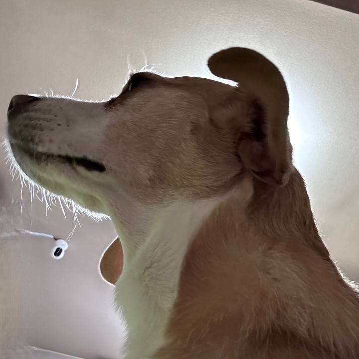 194b5ec2 5209 4bd1 9d7d ff946c806aad 1704527396955